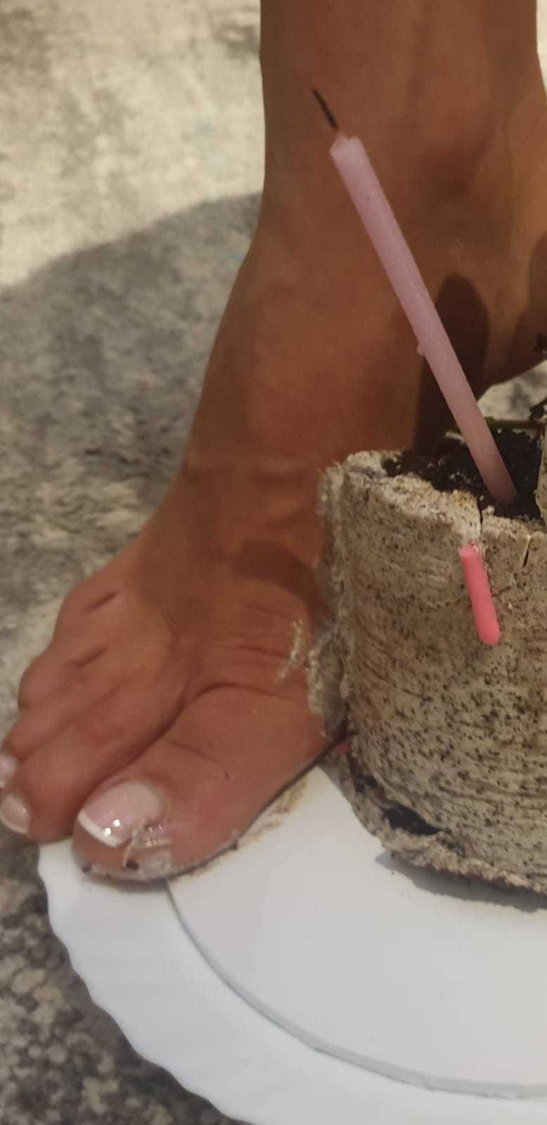 wearesisters OnlyFans profile picture