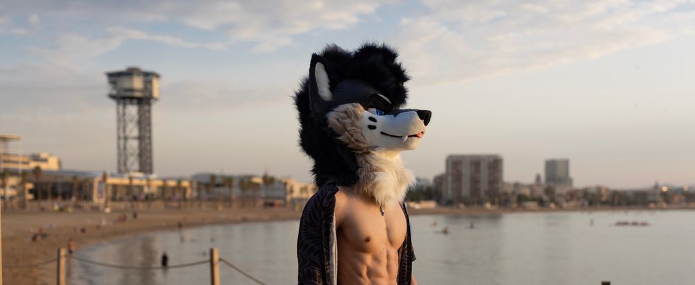 palacewolf OnlyFans profile picture