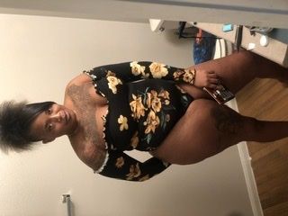 toxicassegypt OnlyFans profile picture