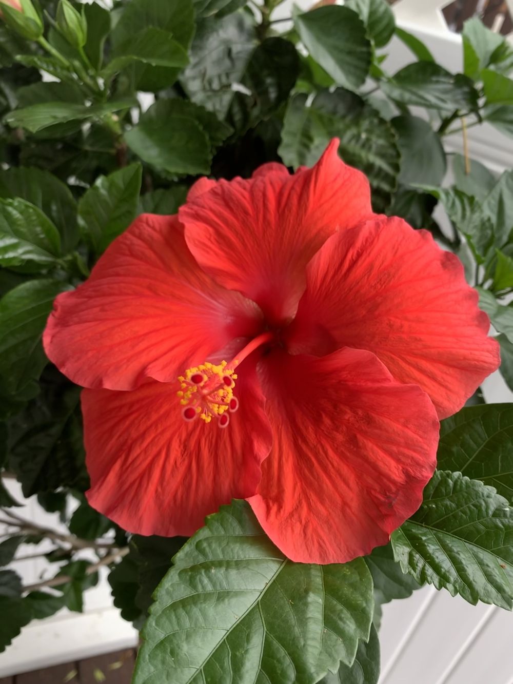 floraphotos OnlyFans profile picture