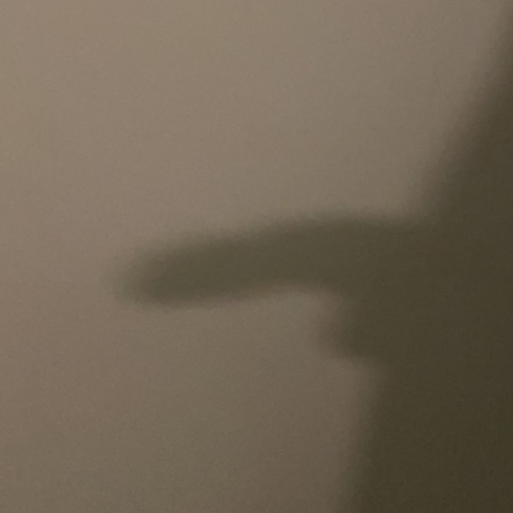 brucedeexxx OnlyFans profile picture