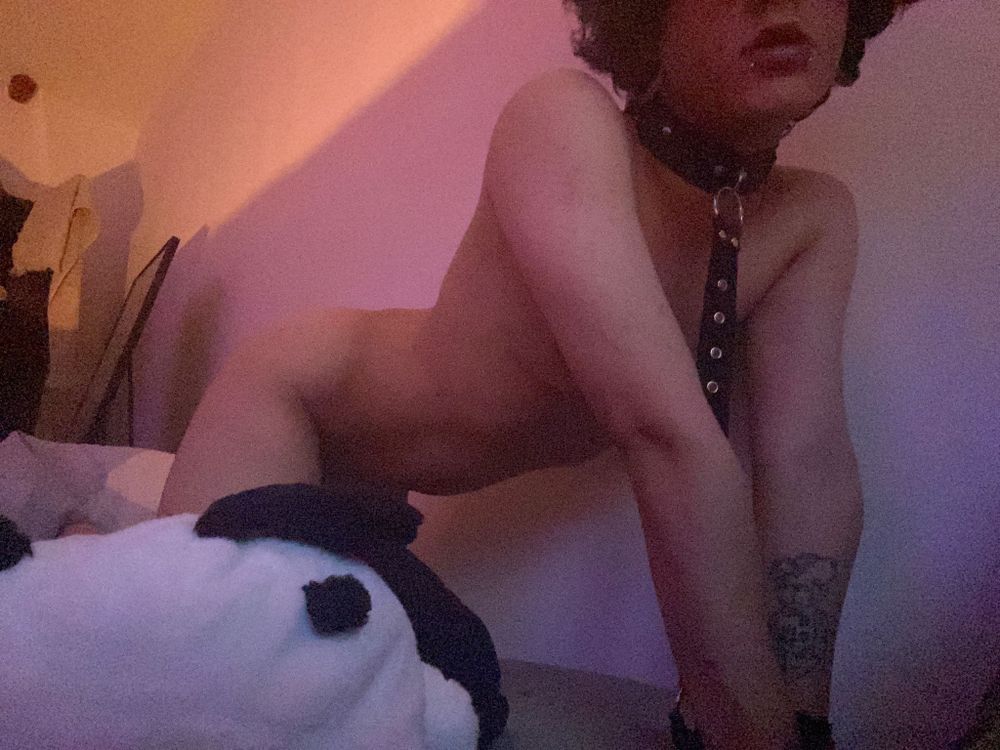 cyberbunni OnlyFans profile picture