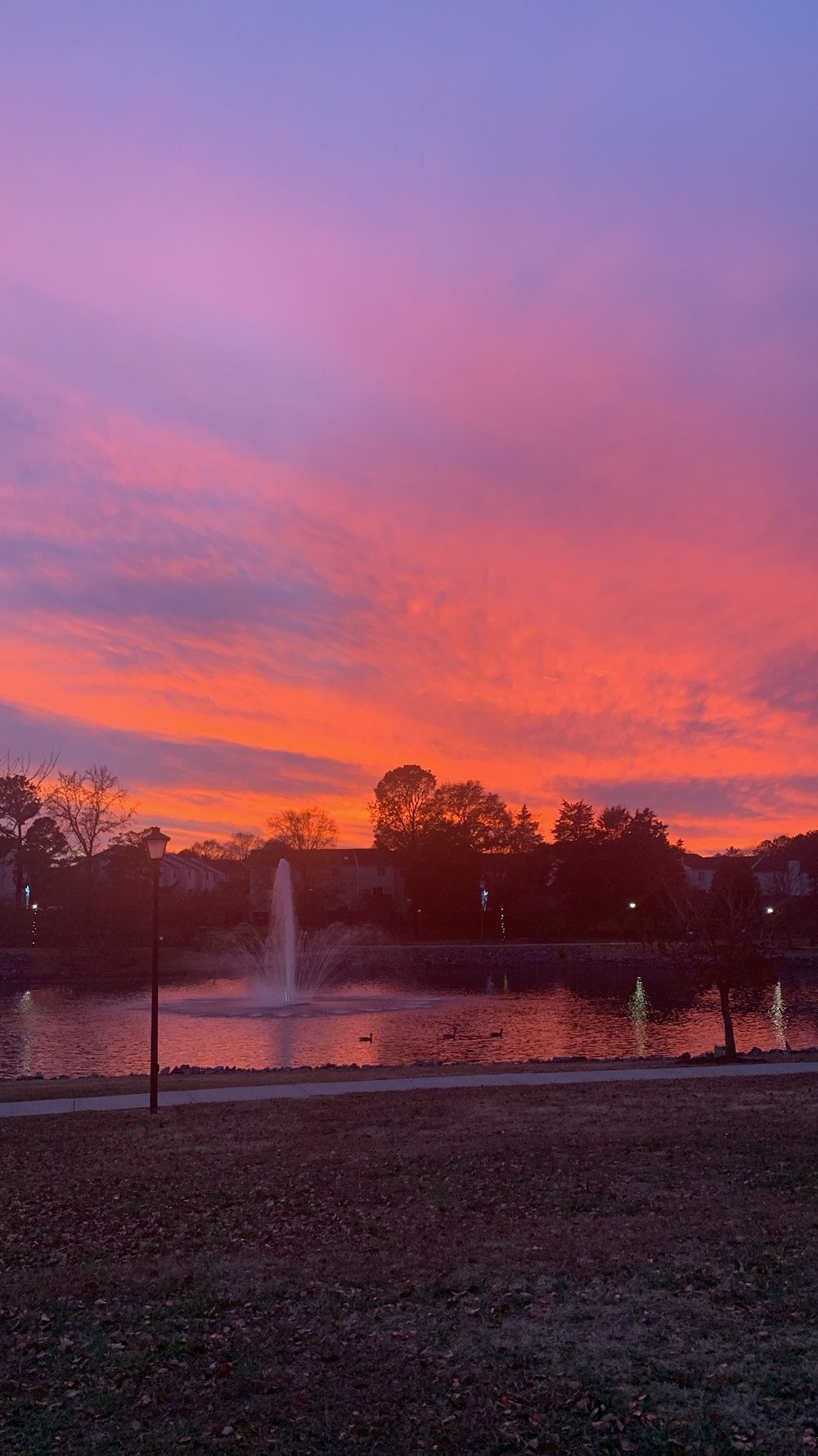 comedicangel OnlyFans profile picture