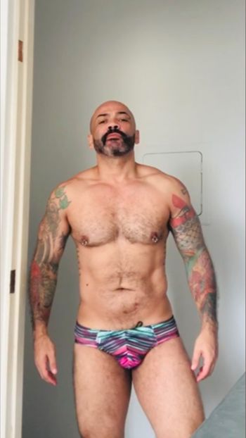 Hot Bear Brazil