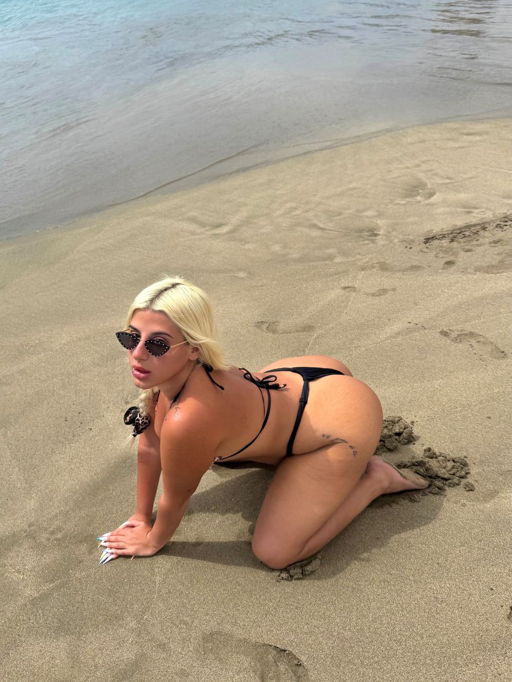 wildgiss OnlyFans profile picture