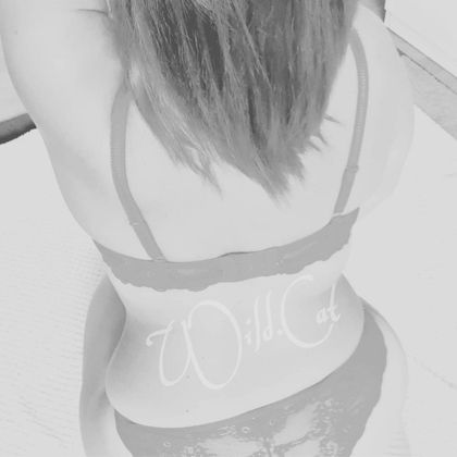 wild.catfree OnlyFans picture