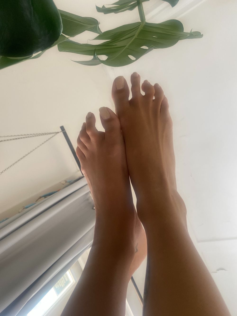 fancyfootworx OnlyFans profile picture