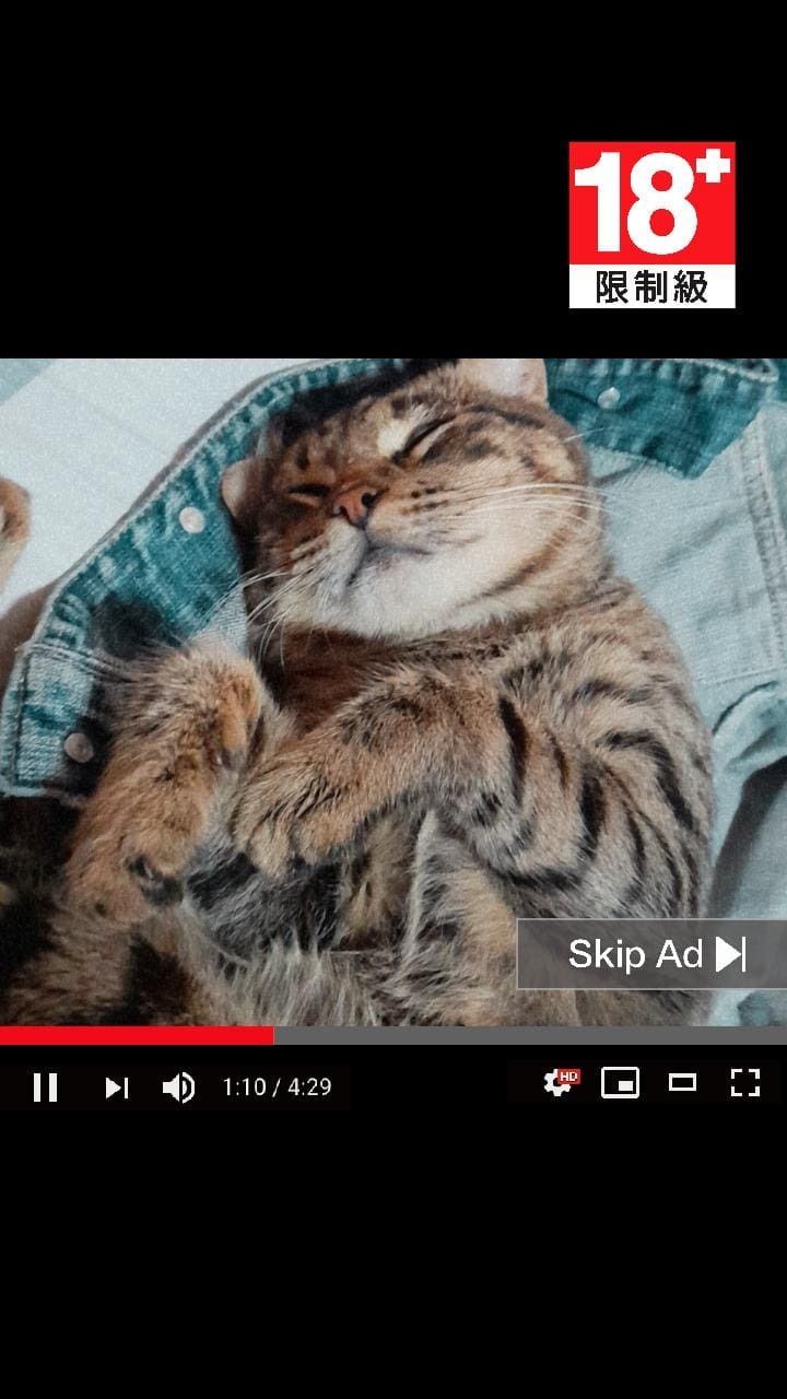 shrnx OnlyFans profile picture