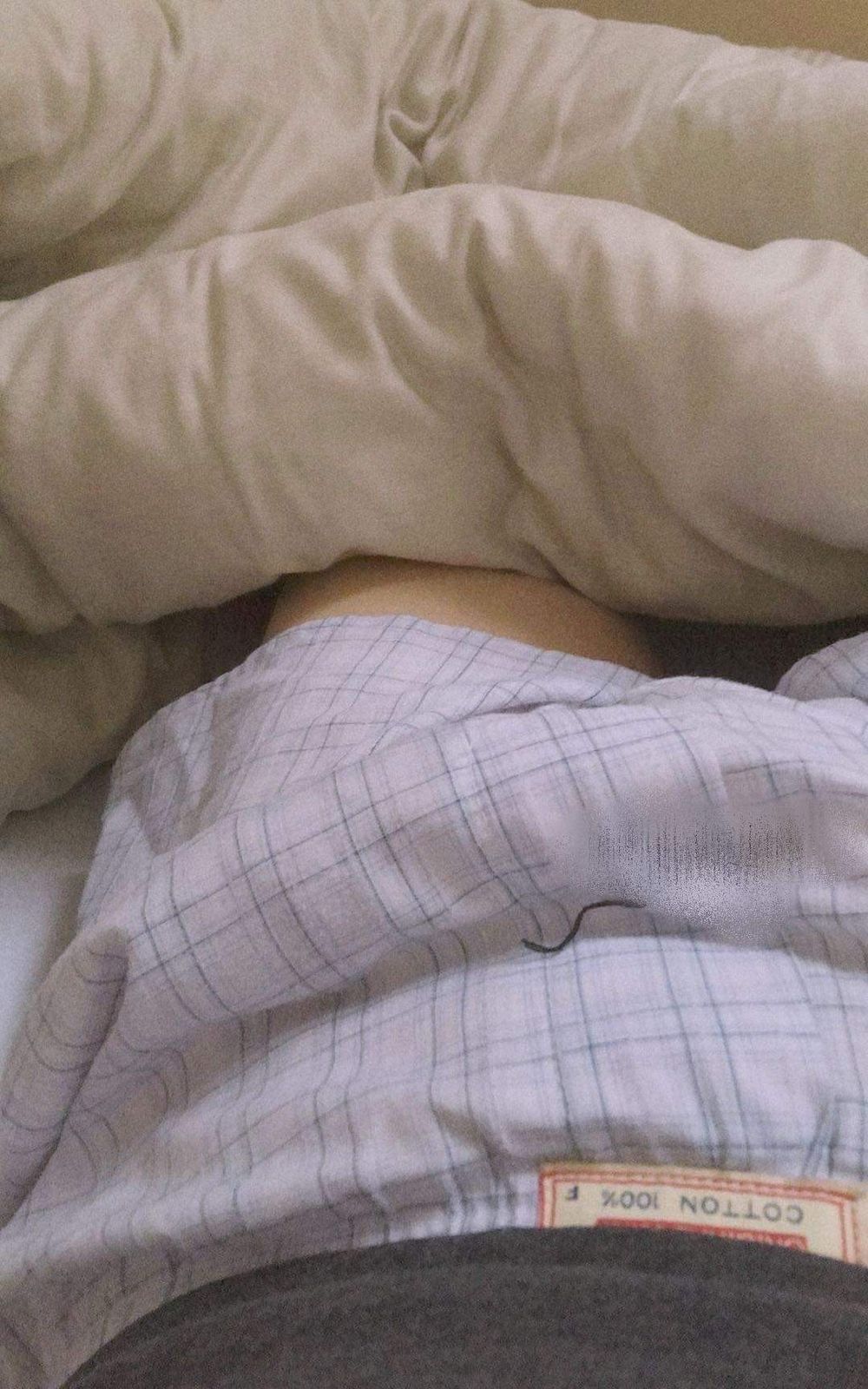 stefanpimmel OnlyFans profile picture