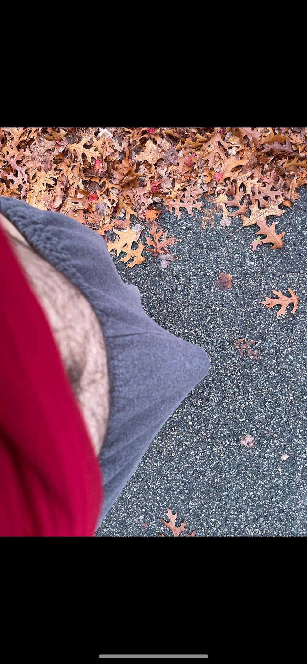 phoenixtheho OnlyFans profile picture