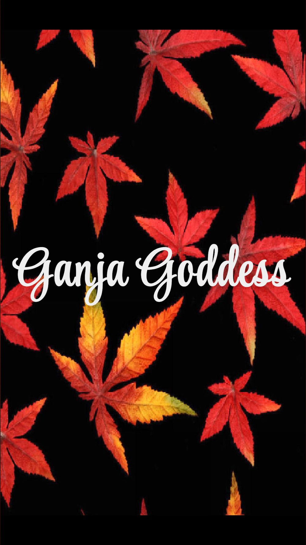 ganjagoddess082 OnlyFans profile picture