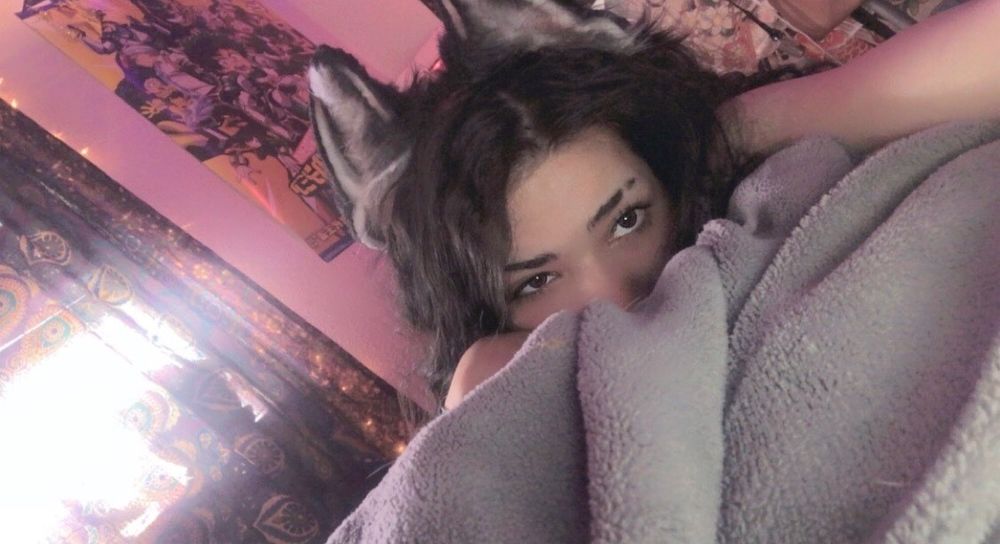 droolypupp OnlyFans profile picture