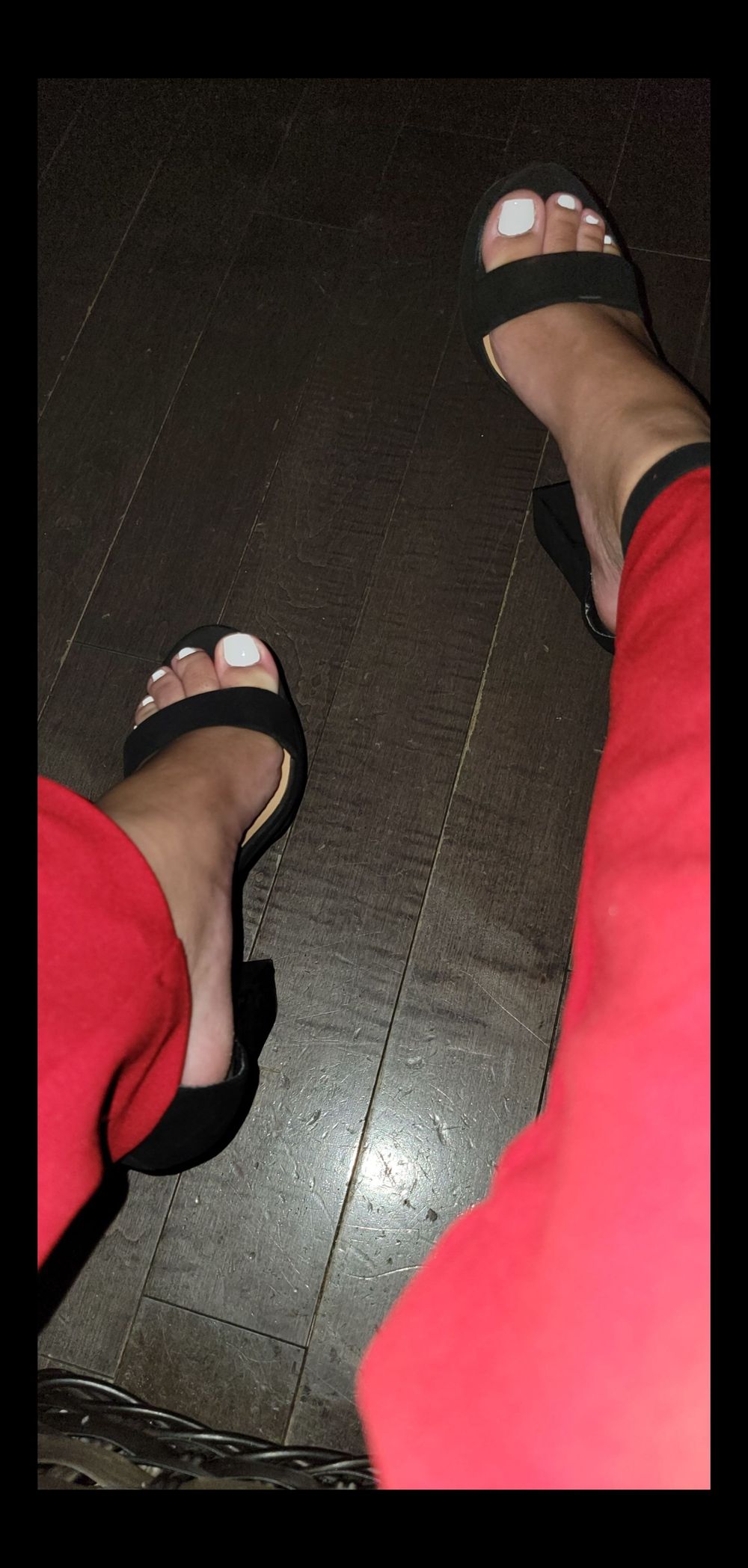 mrslavenderr OnlyFans profile picture