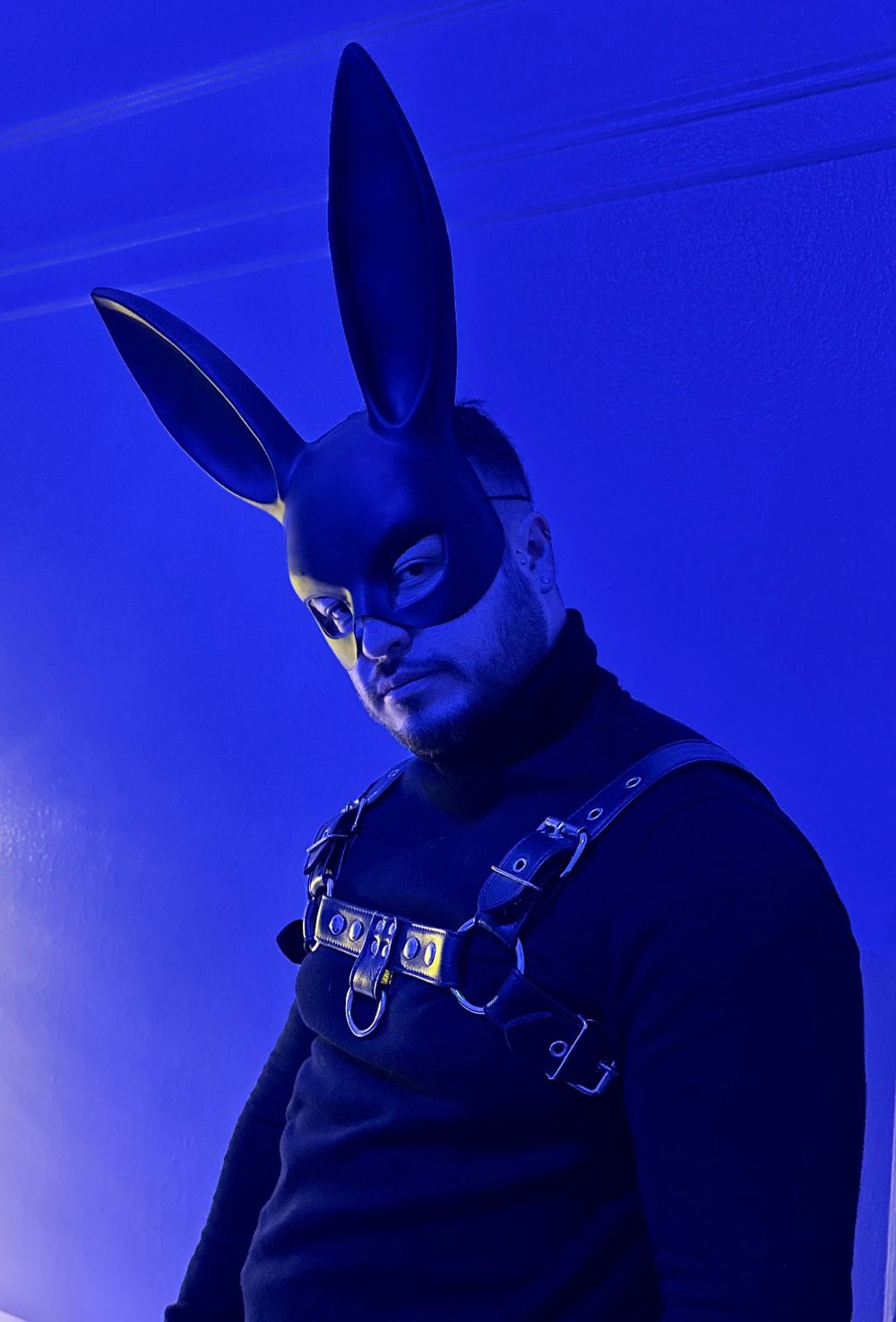 miloamortegui11 OnlyFans profile picture