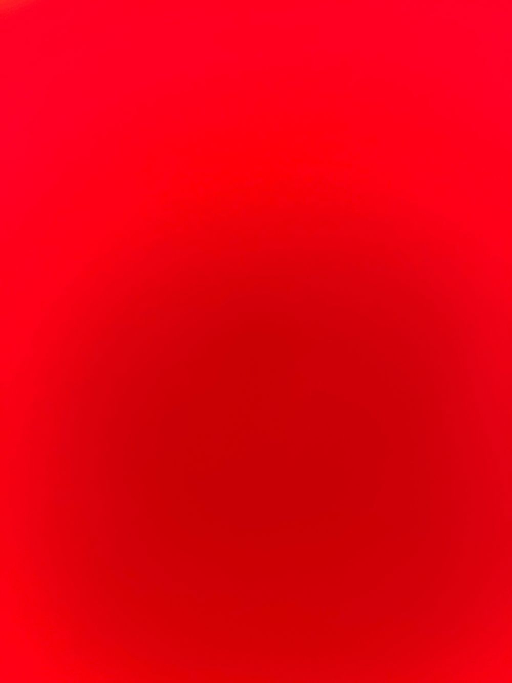 lobaanonima97 OnlyFans profile picture