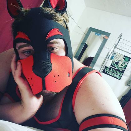 pupgunther OnlyFans picture
