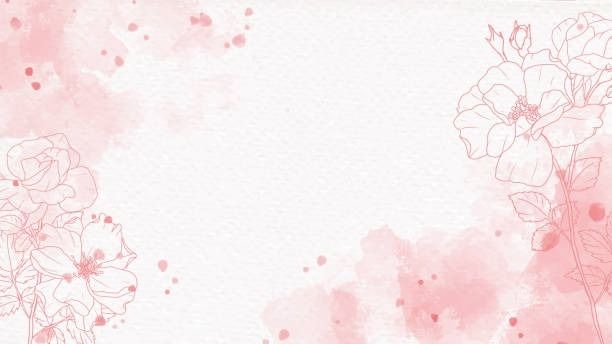 veronica.juggs OnlyFans - Stats, Graphs, Photos & Profile Comparisons