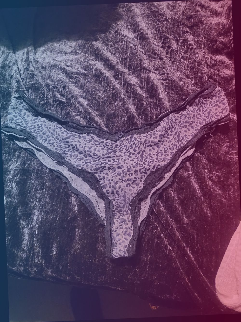 usedunderwearfororder OnlyFans profile picture