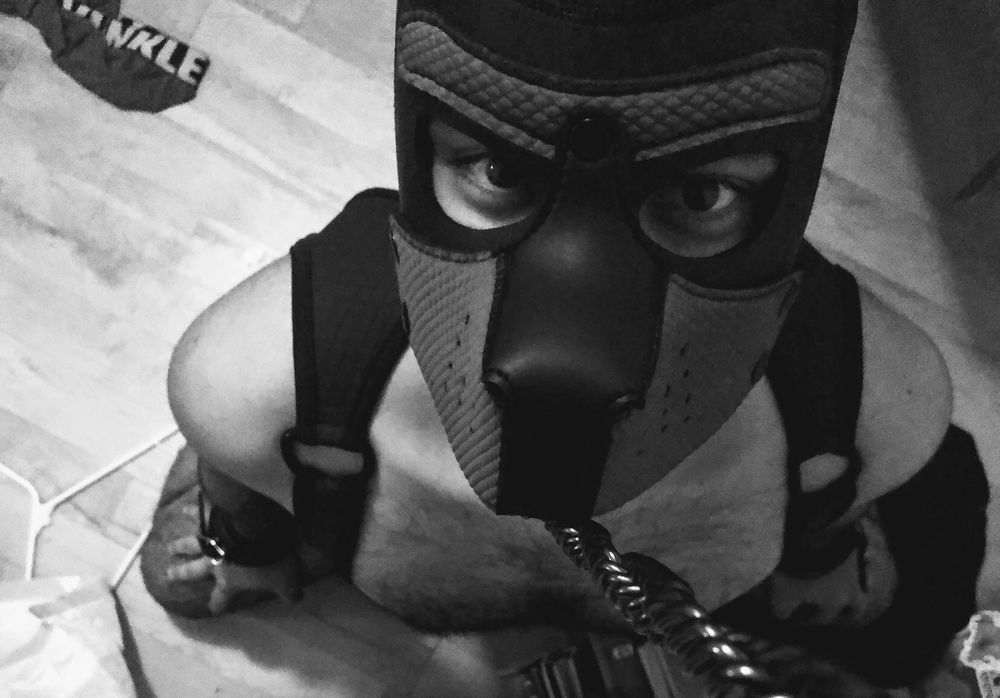 pupboyaz OnlyFans profile picture