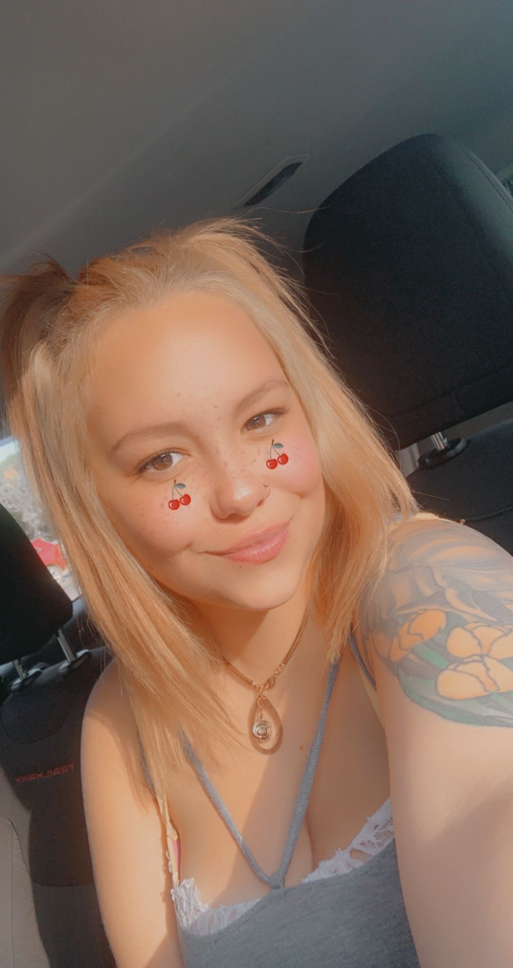 apitcher OnlyFans profile picture