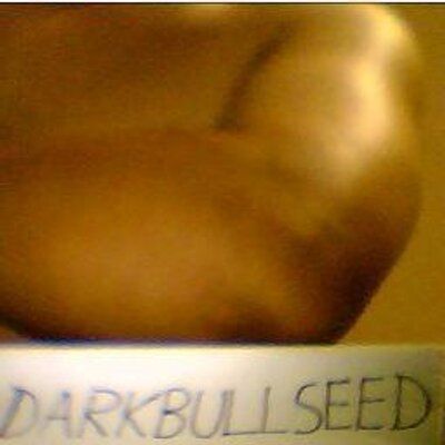 darkbullseed OnlyFans picture