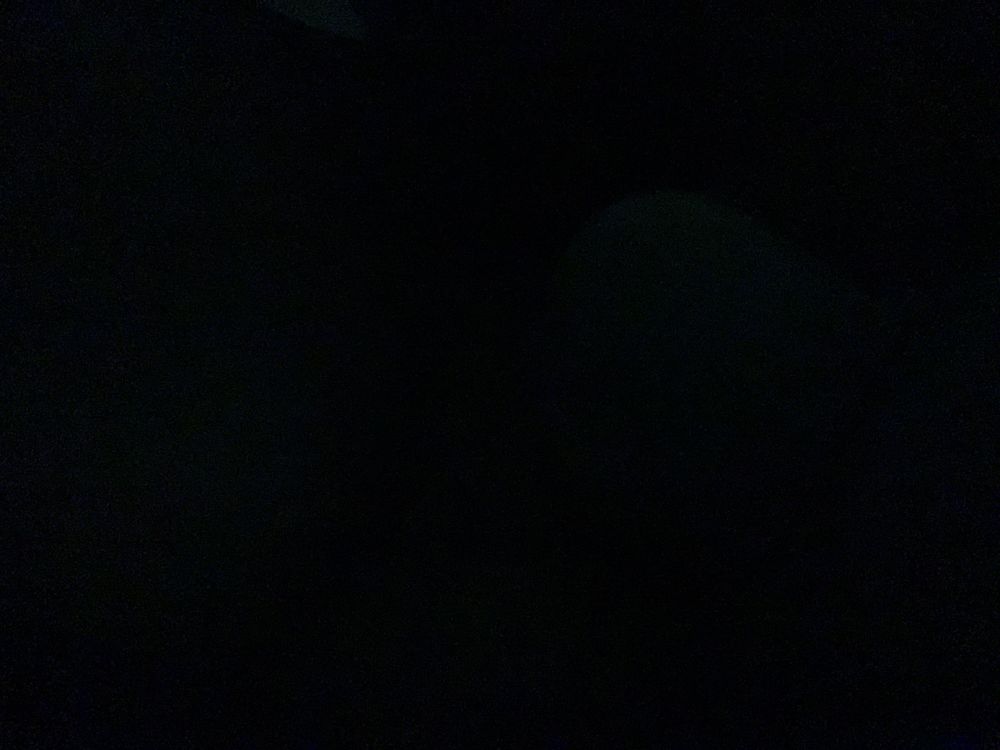 lulbenzie_ OnlyFans profile picture