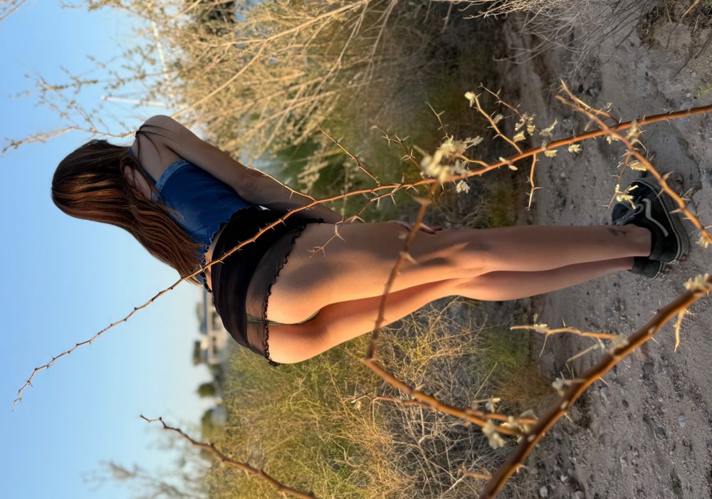 trippysuzie OnlyFans profile picture