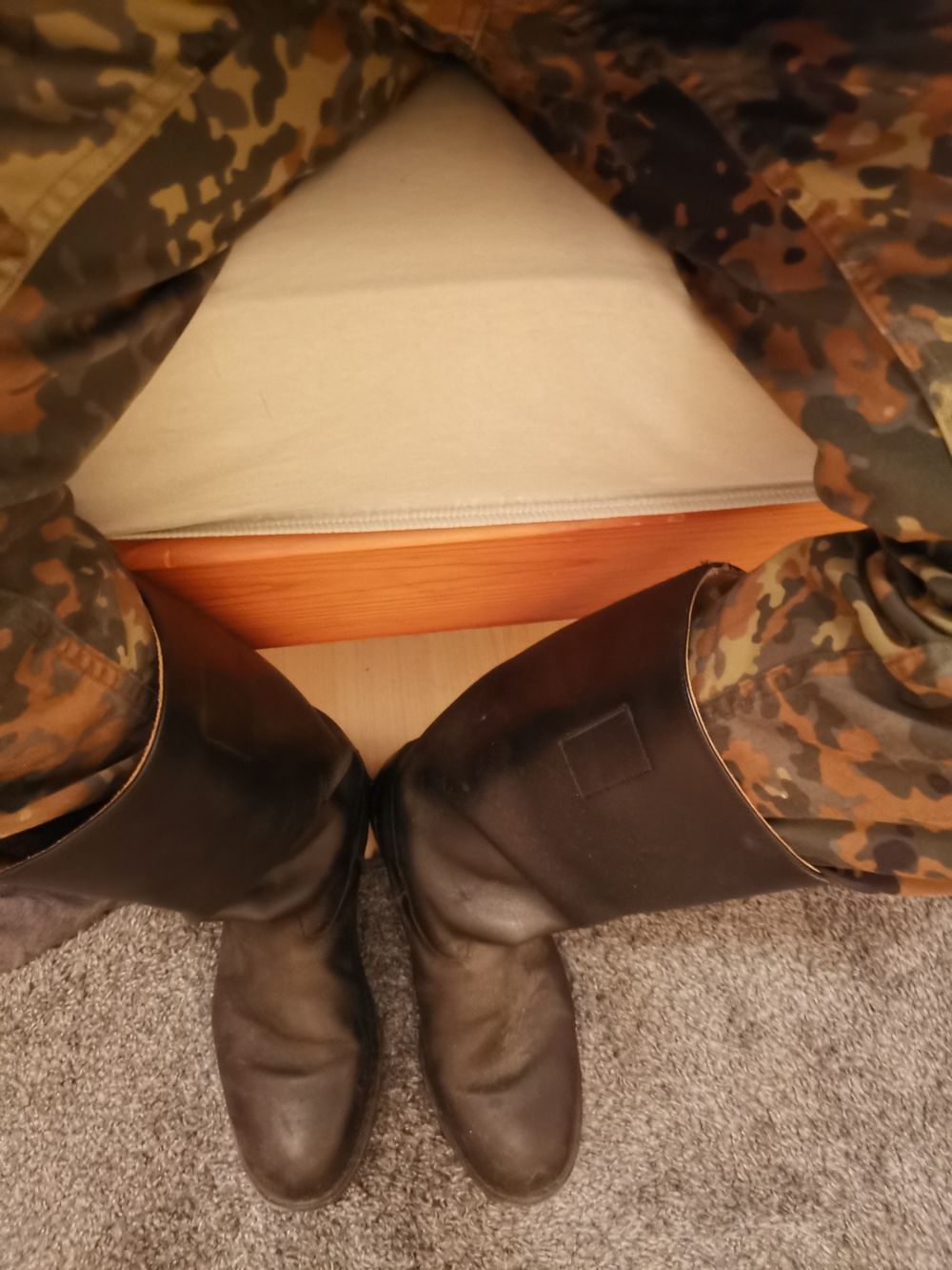 the_gaynator OnlyFans profile picture