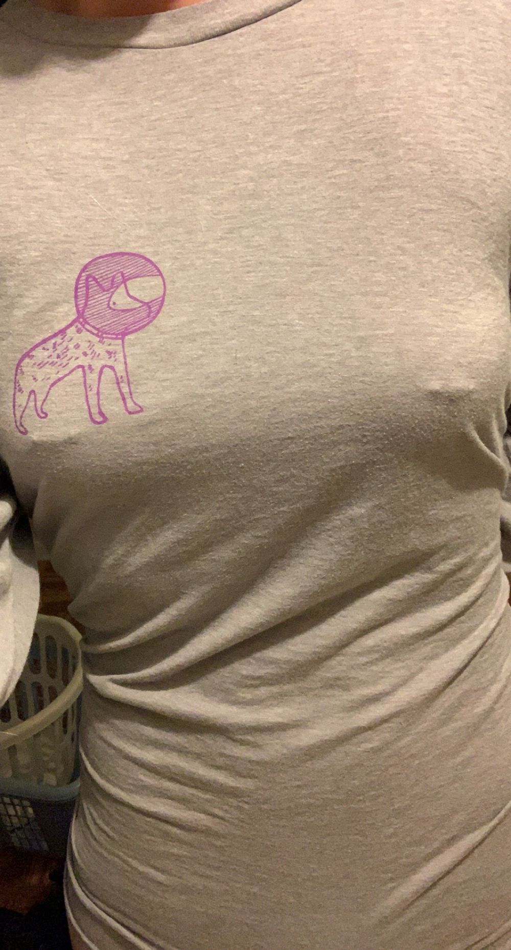 enchantingraven OnlyFans profile picture