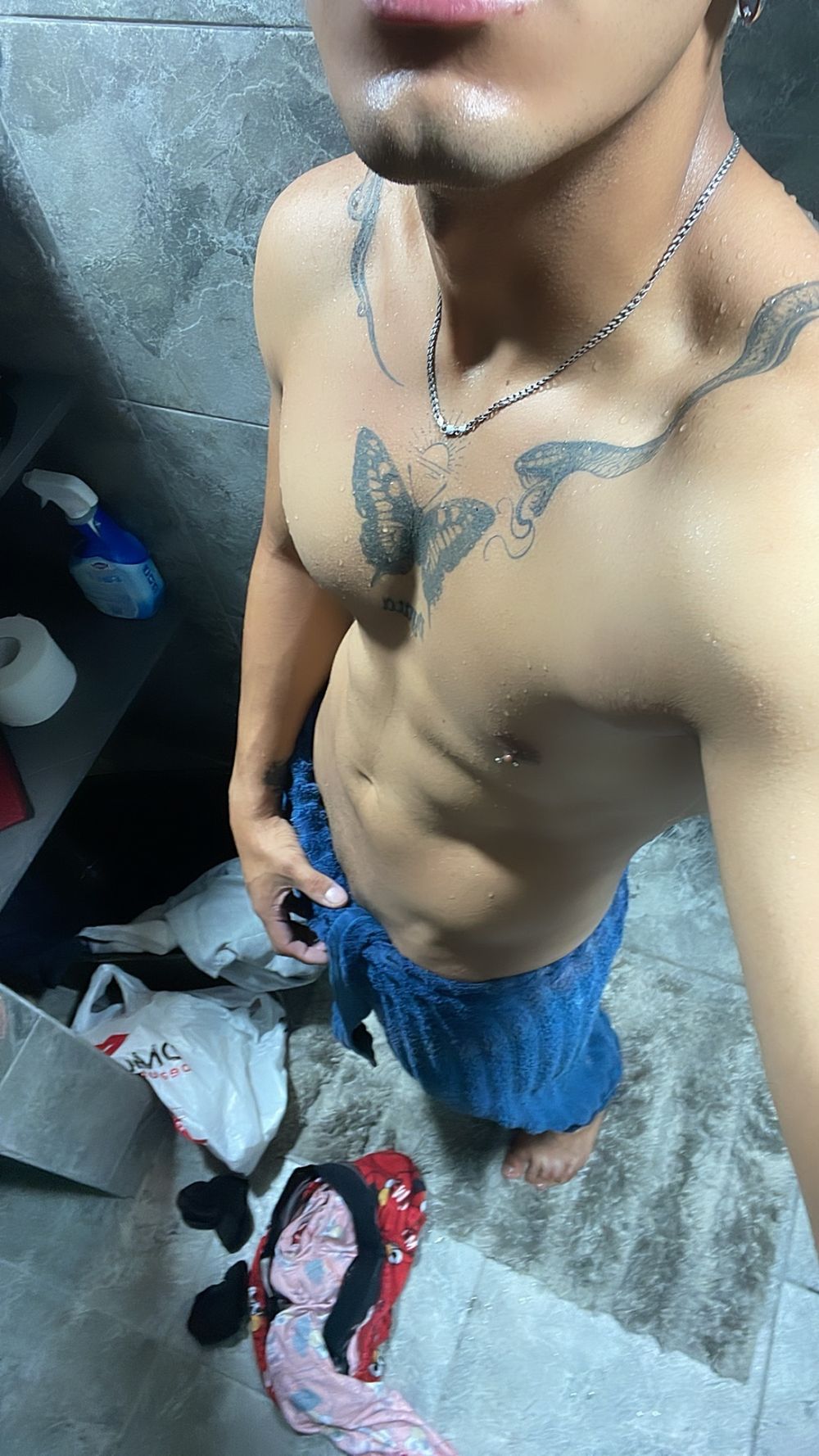 arielnietol OnlyFans profile picture