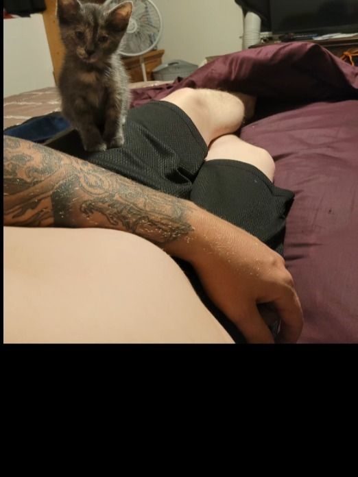 brokentrucker OnlyFans profile picture
