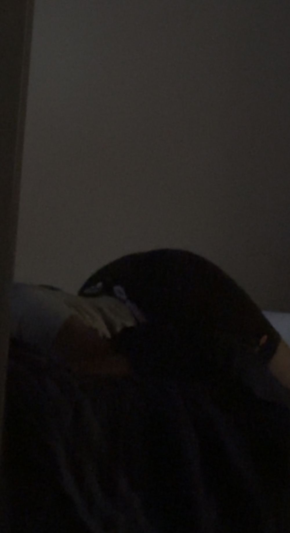 htxgenie OnlyFans profile picture