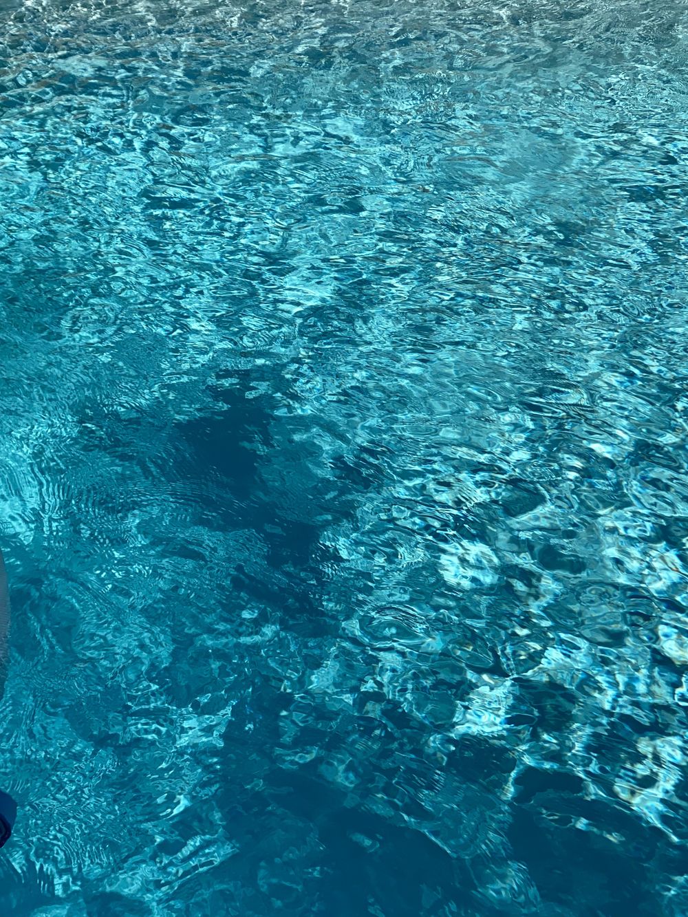 tropicalpool OnlyFans profile picture