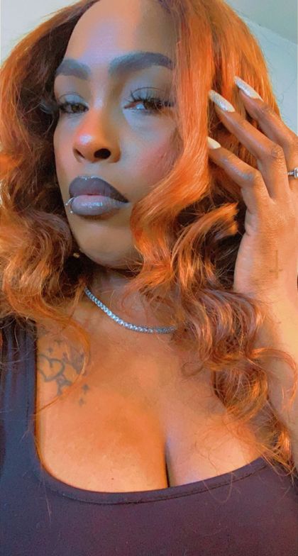 serve_mistresskitty OnlyFans picture
