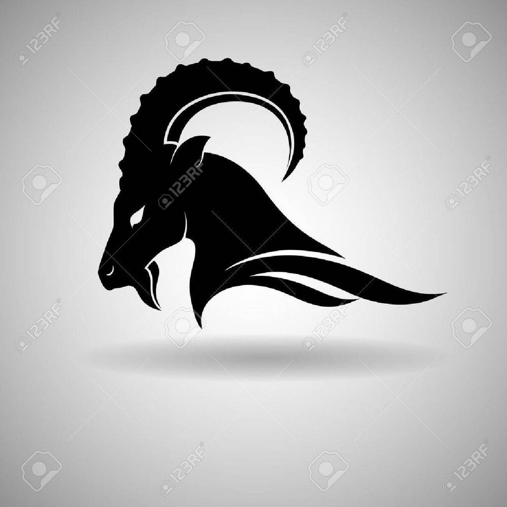 u57872394 OnlyFans profile picture