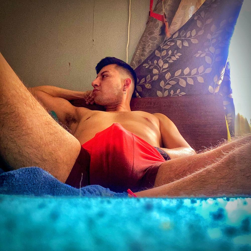 stefanox69 OnlyFans profile picture