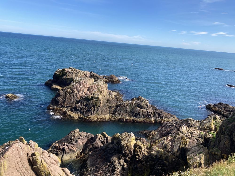 kat_marie_x OnlyFans - Stats, Graphs, Photos & Profile Comparisons | FansMetrics.com