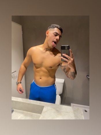 Stallion