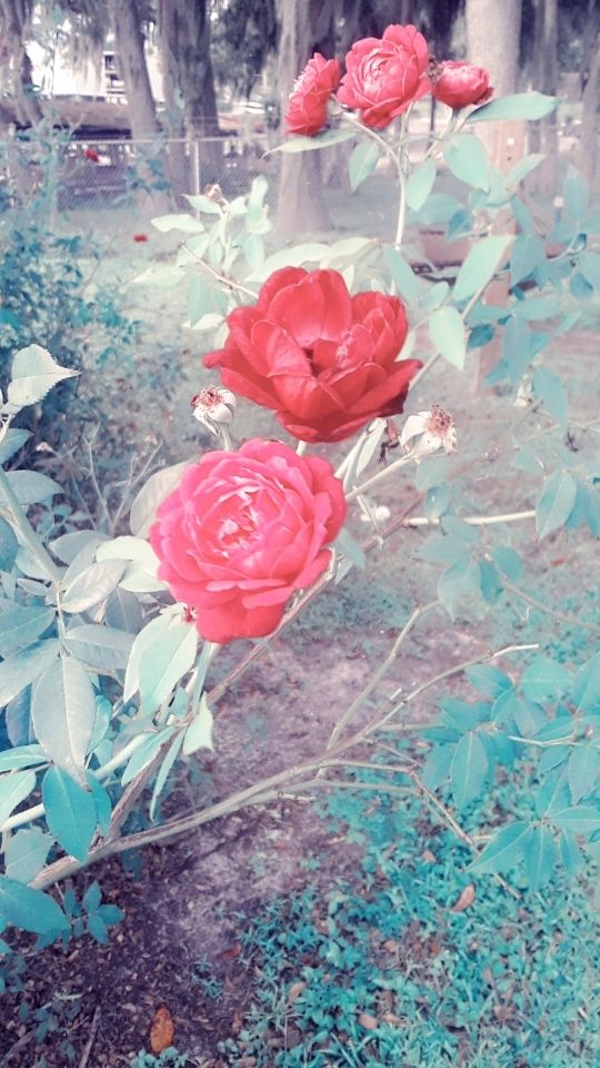 u166550139 OnlyFans profile picture