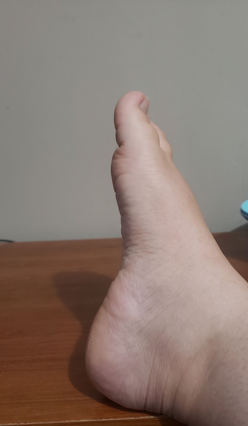 u264494381 OnlyFans profile picture