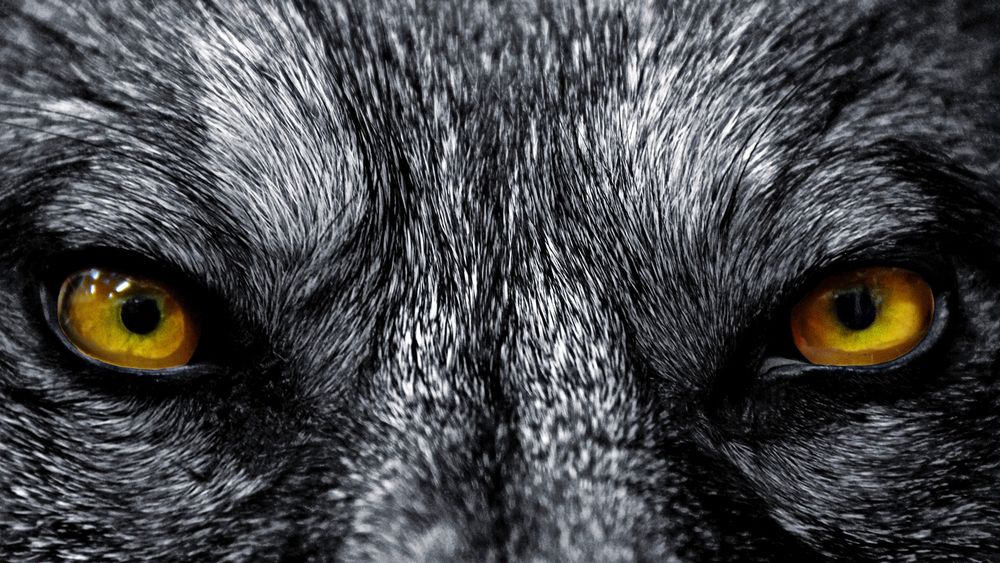 arianzip OnlyFans profile picture