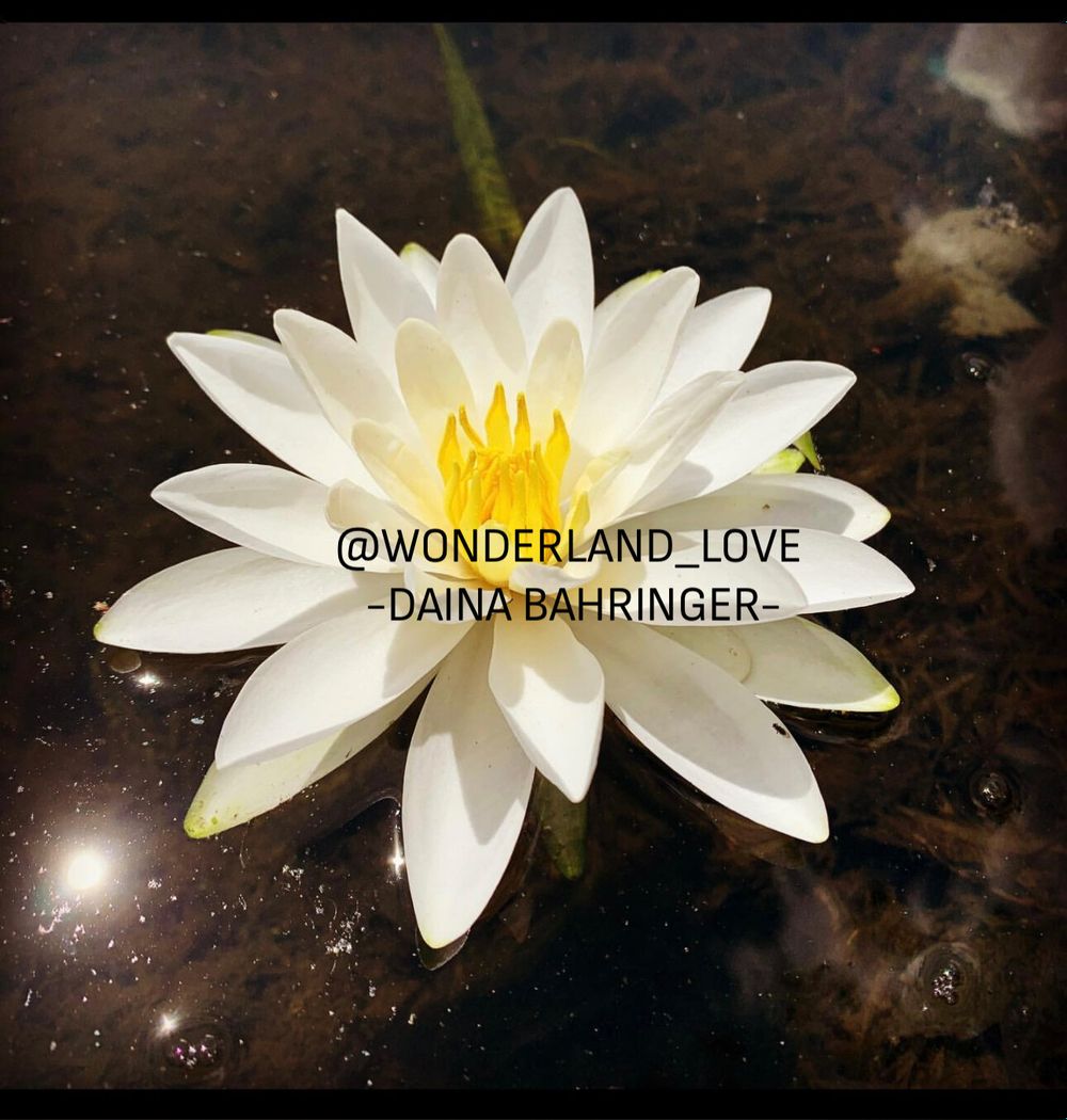 wonderland_love OnlyFans profile picture