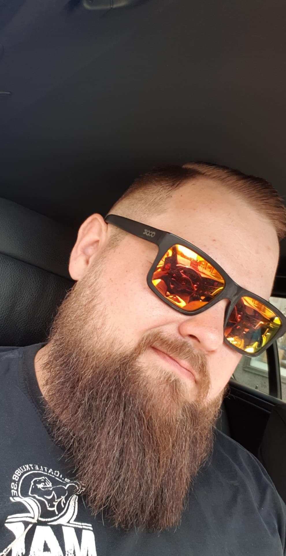 theswedishbeard OnlyFans profile picture