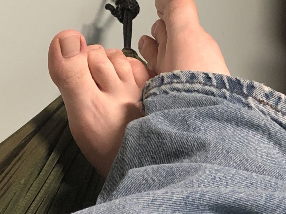 dickgreenhorn OnlyFans profile picture