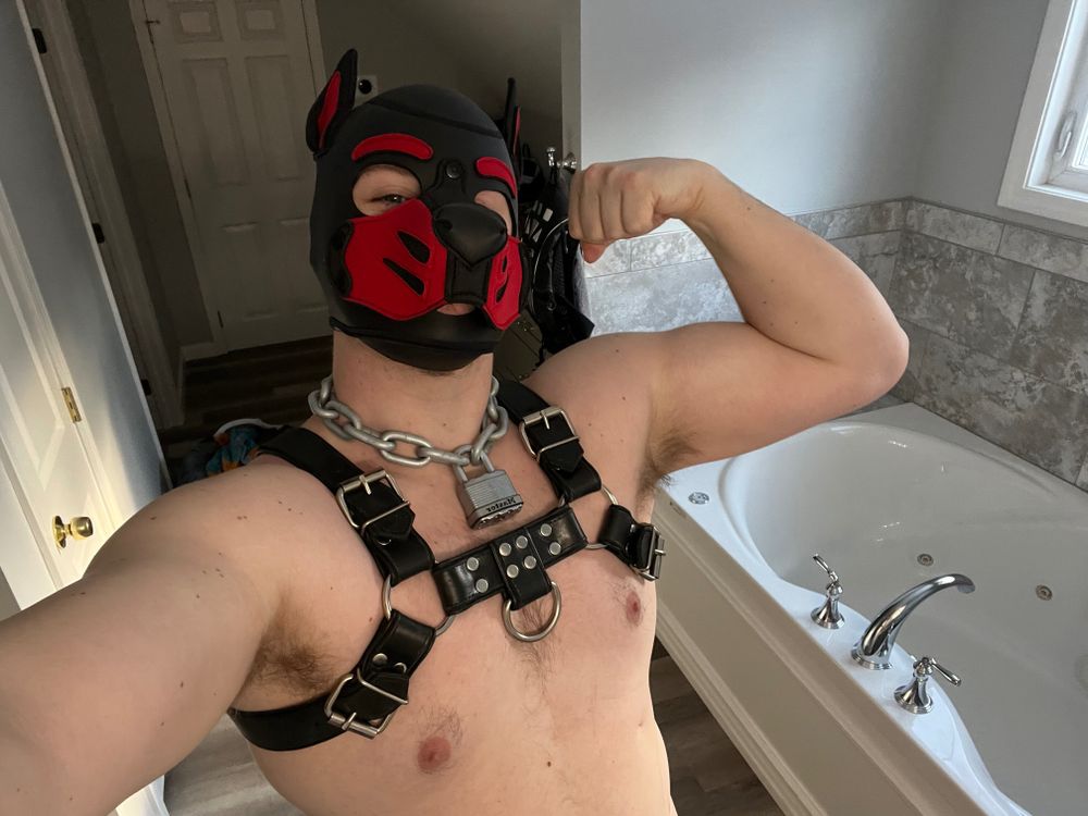 beefyrubberboi OnlyFans profile picture