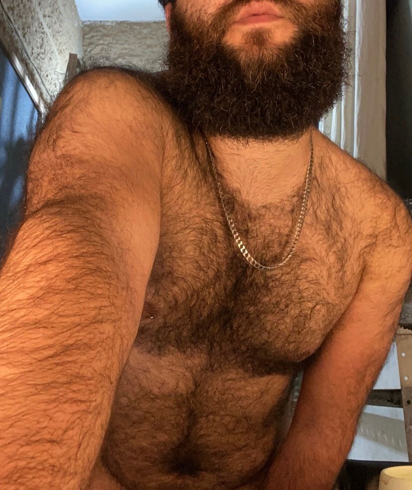 pocketbear27 OnlyFans profile picture