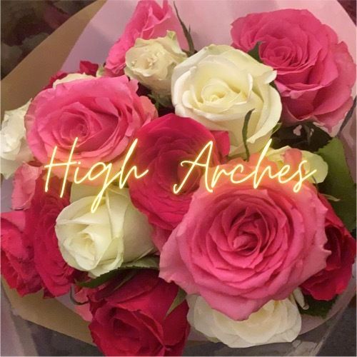 high_arches_xo OnlyFans profile picture