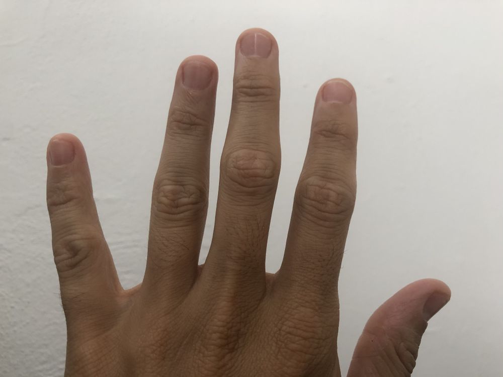 thehand OnlyFans profile picture