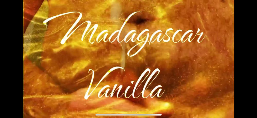 madagascarvanilla OnlyFans profile picture
