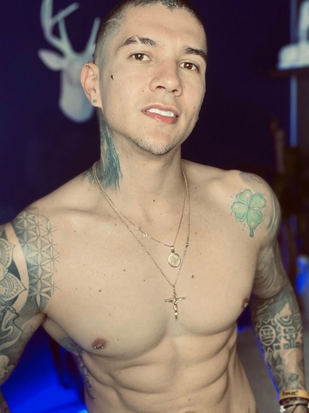 thomasbrandfree OnlyFans profile picture
